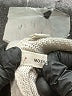 Moth Silver Cardigan Size XS - photo 9