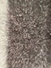 Assorted Brands 100% Cotton Black Romper Size XXS - photo 4