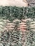 Unbranded Chevron-herringbone Green Pullover Sweater Size 0X - photo 7