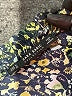 Zara Basic Print Green Casual Dress Size M - photo 7