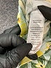 Btween Yellow Dress Size 6 - photo 4