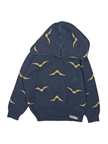 Harry Potter Pullover Hoodie (view 1)