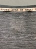 Aeropostale Gray Active T-Shirt Size 1X - photo 7