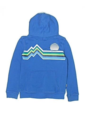 Eddie Bauer Pullover Hoodie (view 1)