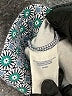 Lands' End Print Blue Casual Pants Size XL - photo 8