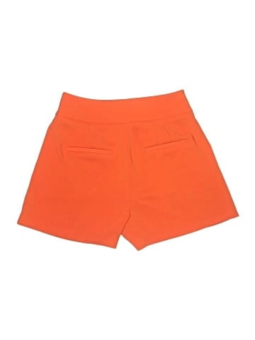 Express Shorts (view 2)