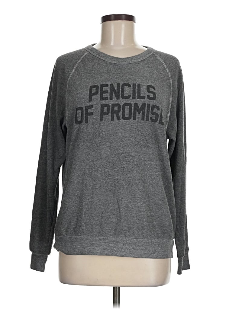 Pre-owned Alternative Earth Sweatshirt In Gray