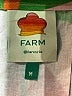 FARM Rio Tropical Pink Green Jumpsuit Size M - photo 4