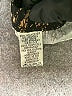 Bob Mackie Paisley Black Casual Pants Size S (petite) - photo 8