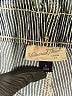 Universal Thread Blue Jeans Size 8 - photo 7