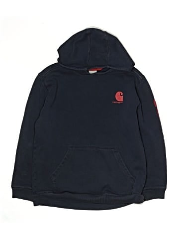 Carhartt Pullover Hoodie (view 1)