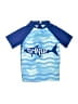 Unbranded Blue Rash Guard Size 110 cm / US 5-6 - photo 1