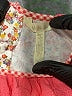 Matilda Jane Orange Dress Size 6 - photo 3