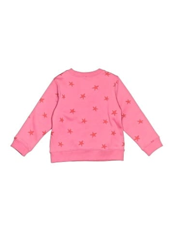 Primary Clothing Sweatshirt (view 2)