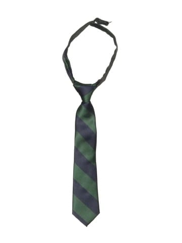 Lands' End Necktie (view 1)