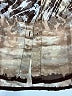 Nicola 100% Polyester Animal Print Tan 3/4 Sleeve Blouse Size M - photo 3