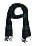 Assorted Brands Plaid Green Blue Scarf One size - photo 1