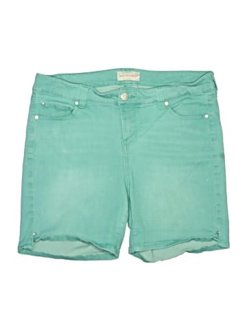 Molly & Isadora Denim Shorts (view 1)