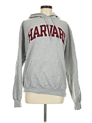 Champion Pullover Hoodie (view 1)