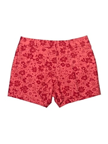 Ann Taylor Shorts (view 1)