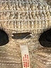 Free People 100% Cotton Ivory Cargo Pants Size S - photo 4