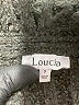 Assorted Brands Black Cardigan Size S - photo 7