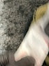 WeWoreWhat Stripes Tan Turtleneck Sweater Size Med - Lg - photo 8