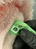 Honeydew 100% Polyester Pink Pullover Sweater Size L - photo 8