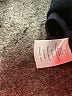 Talbots Solid Blue Casual Dress Size 8 Petite - photo 8