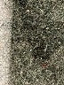 Gap Floral Black Casual Dress Size M (estimated) - photo 5