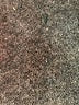 Zara Brown Long Sleeve Top Size S - photo 11