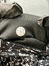 Lululemon Athletica Gray Active Pants Size 4 - photo 8