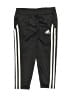 Adidas 100% Polyester Black Track Pants Size 3T - photo 1