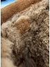 Bottega Veneta Tan Brown Suede Snap Slippers Size EU 39 - photo 6