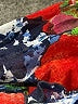 Joseph Ribkoff Blue Kimono Size 8 - photo 8