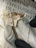 Let Me Be 100% Polyester Animal Print Brown Casual Skirt Size M - photo 4