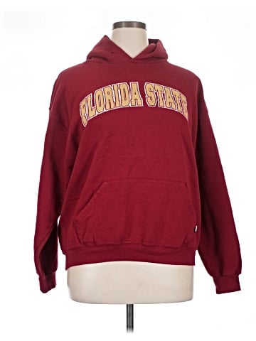 Russell Athletic Pullover Hoodie (view 1)
