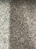 J.Crew Blue Jeans Size XL (estimated) - photo 8