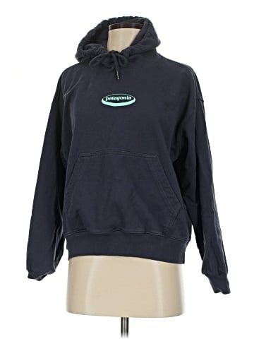 Patagonia Pullover Hoodie (view 1)