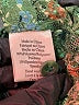 Porridge Green 3/4 Sleeve Blouse Size S - photo 8