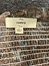 Entro 100% Polyester Brown Long Sleeve Blouse Size L - photo 7