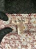 Willow & Root 100% Polyester Paisley Burgundy Casual Dress Size S - photo 7