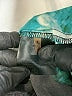 T Tahari Teal Sleeveless Blouse Size S - photo 8