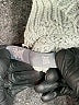 Aerie Gray Pullover Sweater Size S - photo 8