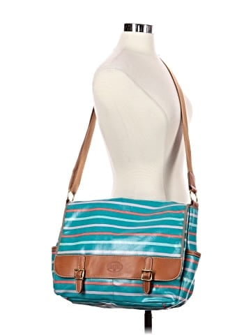 Fossil Messenger (view 2)