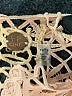 FP One 100% Cotton Tan Cocktail Dress Size XS - photo 7