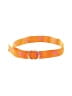 Martinis & More Orange Belt Size M - photo 1