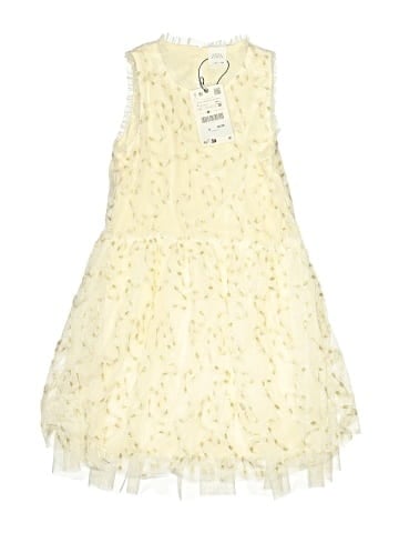 Zara Dress (view 1)