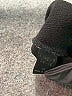 Emery Rose Solid Black Casual Pants Size XL - photo 8