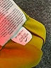 Nike 100% Polyester Color Block Yellow Casual Skirt Size L - photo 4